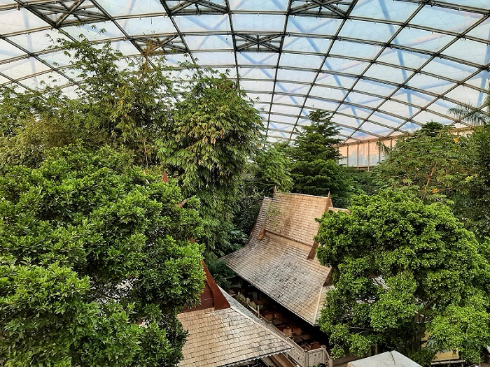 Gondwanaland